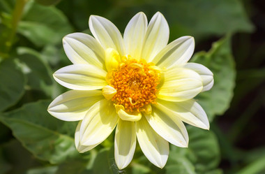 Similar image 21282927