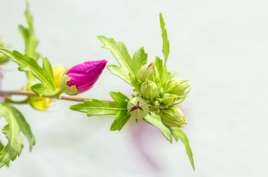 Similar image 21282930