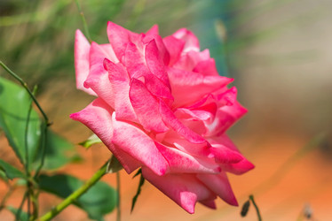 Similar image 21282931