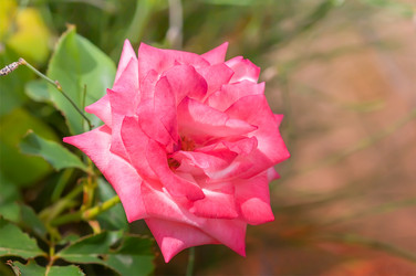 Similar image 21283371