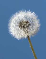 Similar image 21268462