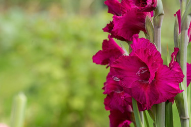 Similar image 21269138