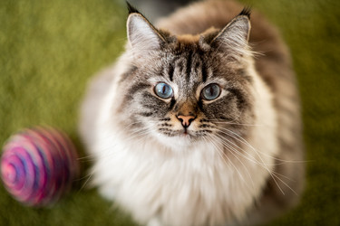 Similar image 21270013