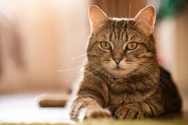 Similar image 21270014