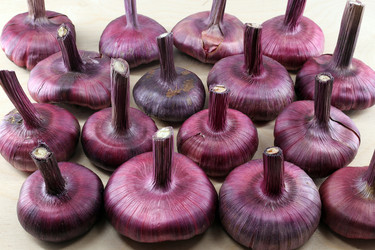 Similar image 21268468