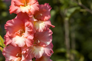 Similar image 21269148