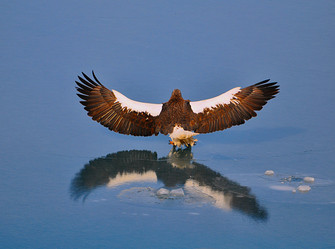 Similar image 21268470