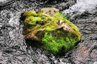 Similar image 21268472