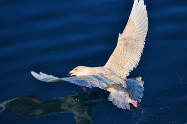 Similar image 21268473