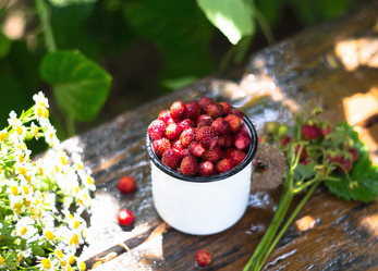 Similar image 21272418