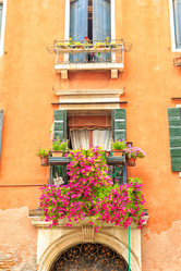 Similar image 21289678