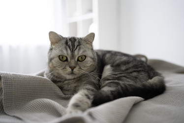 Similar image 21275058