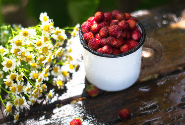 Similar image 21272234