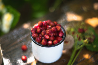 Similar image 21272235