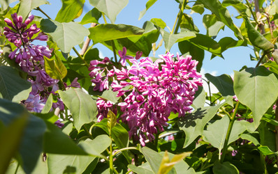 Similar image 21268477