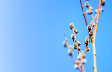 Similar image 21268800