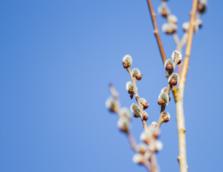 Similar image 21268801