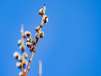 Similar image 21268802