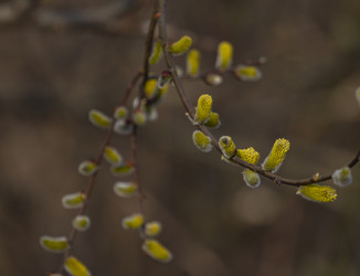 Similar image 21268803