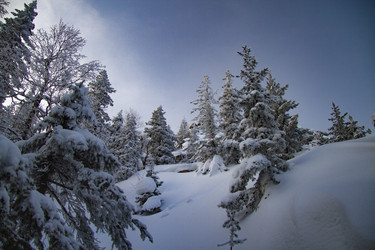 Similar image 21268787