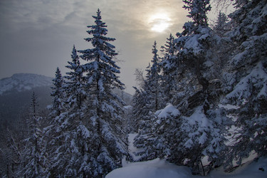 Similar image 21268790