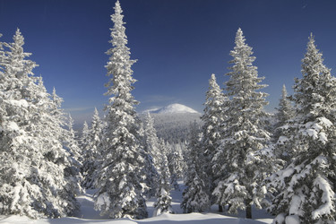 Similar image 21268791