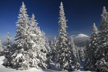 Similar image 21268792