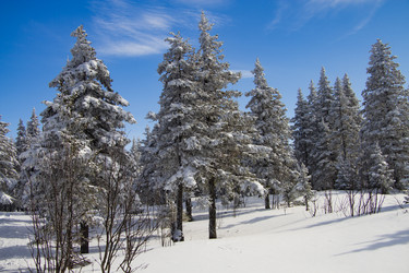 Similar image 21268795