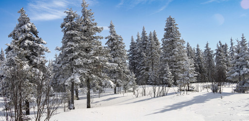 Similar image 21268796