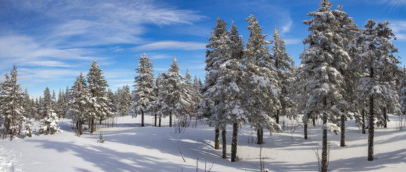 Similar image 21268797