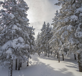 Similar image 21268798