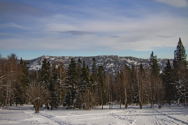 Similar image 21268799