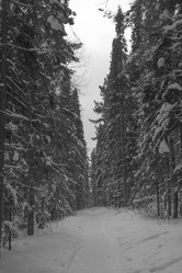 Similar image 21268804