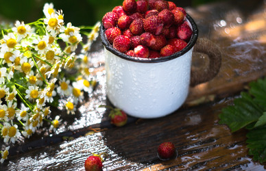 Similar image 21282260