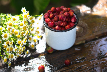 Similar image 21272250