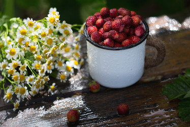 Similar image 21282267