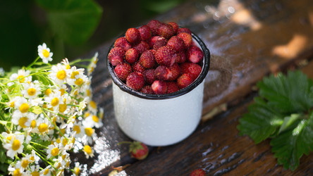 Similar image 21282268