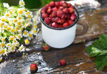 Similar image 21282009