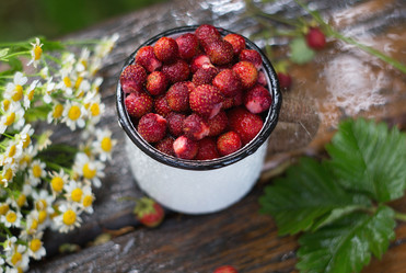 Similar image 21282011