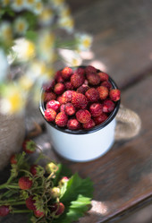 Similar image 21270481