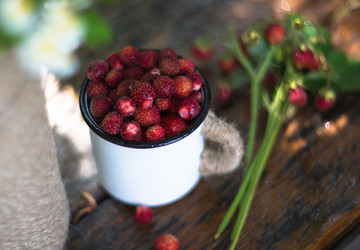 Similar image 21270482