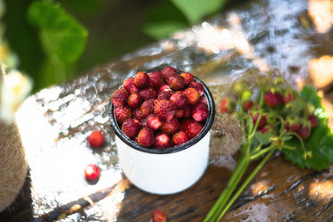 Similar image 21270484