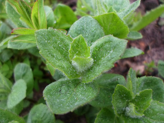 Similar image 21269968