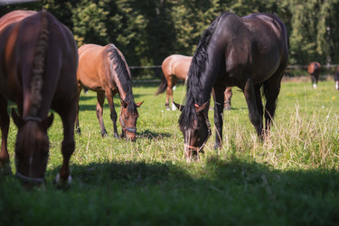 Similar image 21272019