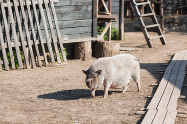 Similar image 21272020