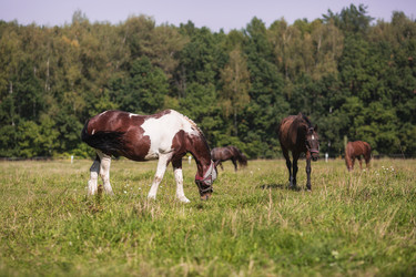 Similar image 21272021