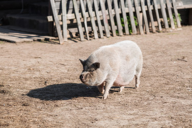 Similar image 21272022