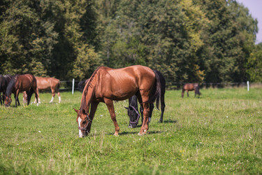 Similar image 21272023