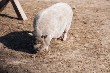 Similar image 21272026