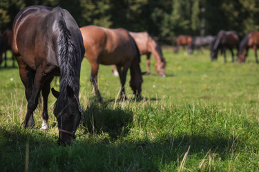 Similar image 21272027